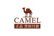 CAMEL骆驼